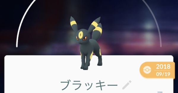 ポケモンgo ブラッキーへの進化方法 名前指定と時間について ゲームウィズ
